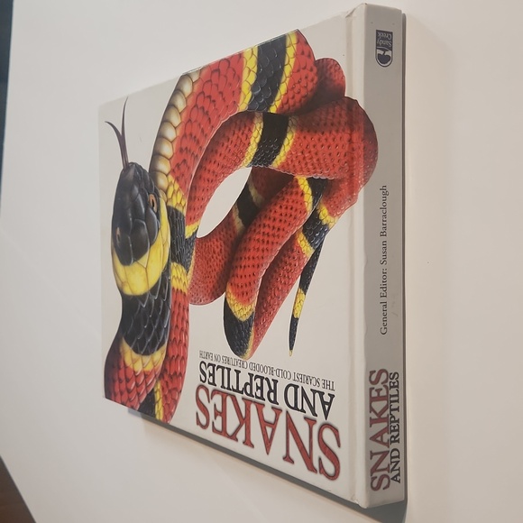 Snakes and Reptiles - Large Hardback Informational Book - Picture 5 of 11